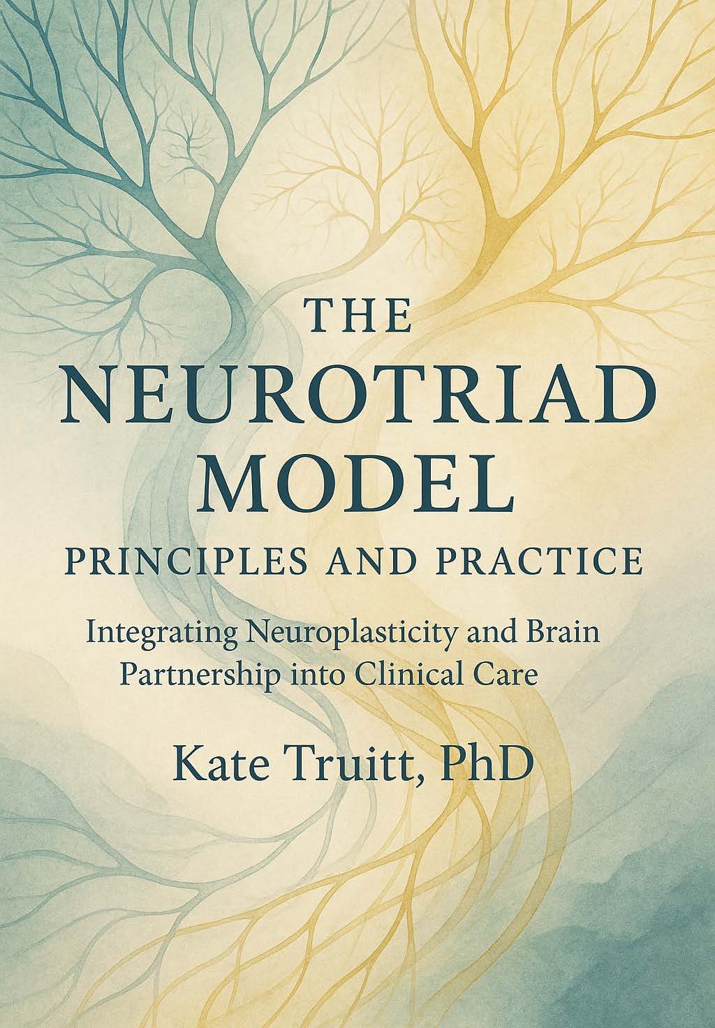 NeuroTriad Model Principles and Practice book cover